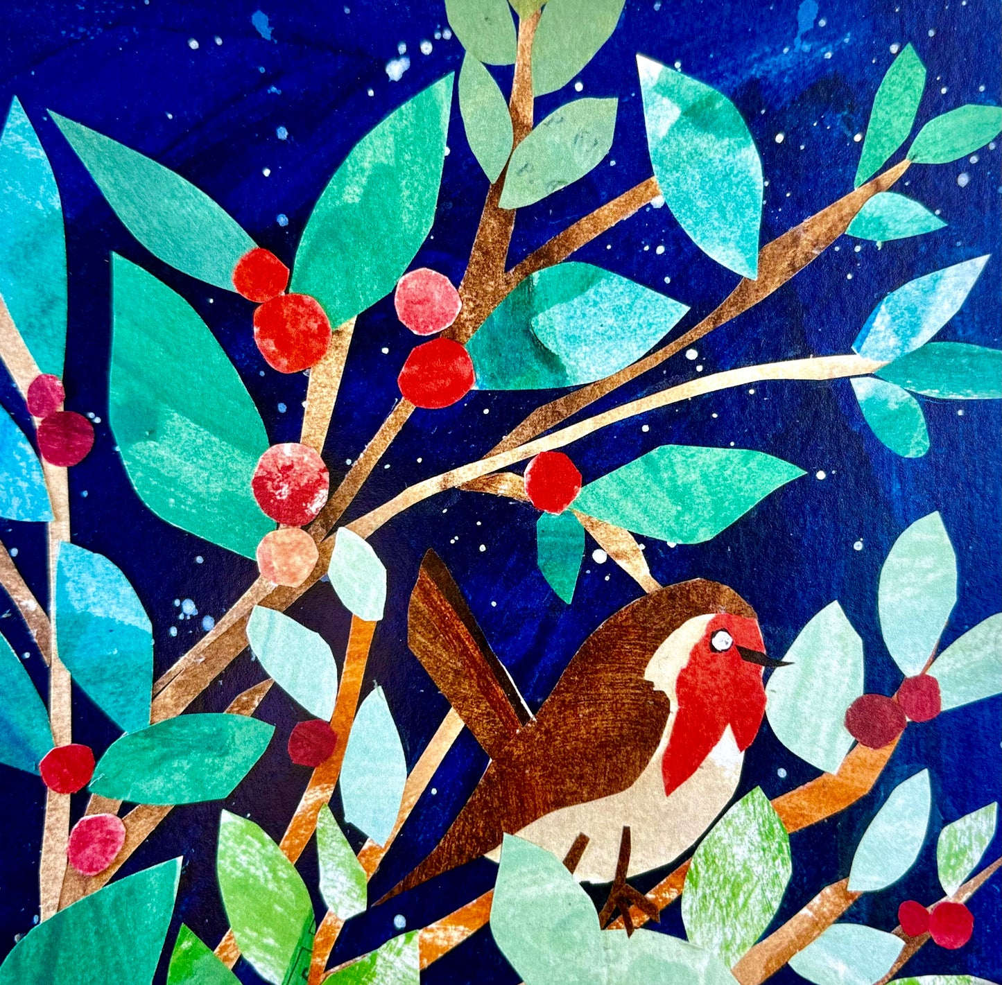 Robin in the Cotoneaster Tree - 15cm x 15cm (6in x 6in) Christmas Card made from recycled material