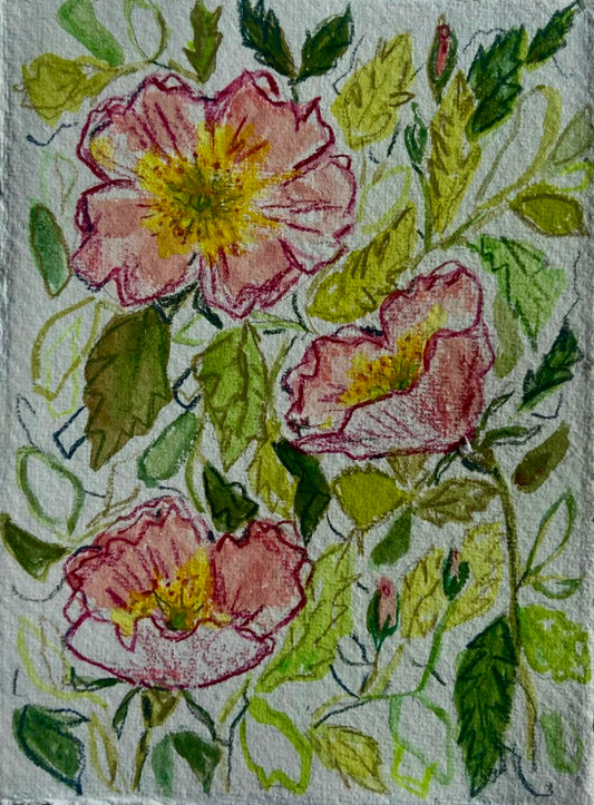 Wild Rose 1 (4 1/2in x 6in) Original Artwork (unframed)